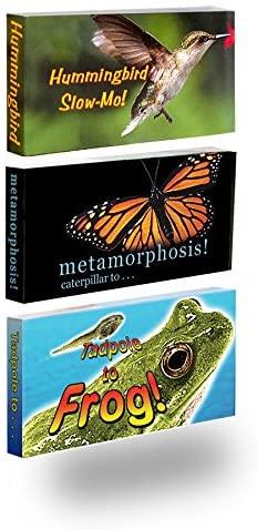 Butterfly, Hummingbird, and Frog Flip Books