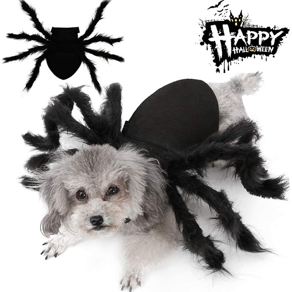 Halloween Spider Clothes For Pets